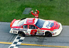 NASCAR SUPERSTAR DALE EARNHARDT JR  8X10 PHOTO W/BORDERS