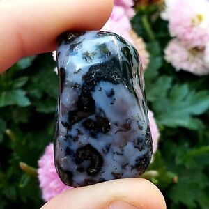 Mystic Merlinite Indigo Gabbro natural rough Crystal Healing Gemstone 1pc larger