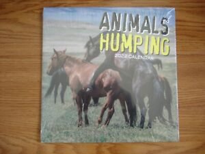 2022 Calendar Animals Humpings - Wall Calendar (Free Shipping)