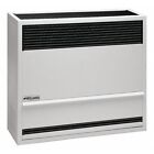 Williams Comfort Products 2203821 Surface-Mount Gas Wall Heater, Propane,