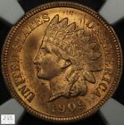 1909 Indian Head Copper Cent 1C NGC MS UNC Details - Altered Color (Beautiful!!)