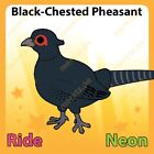 Adopt from Me, A Ride Neon Black-Chested Pheasant Pet