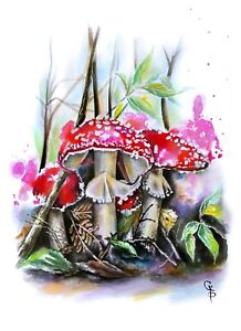 Fly Agaric Painting Original Watercolor Mushrooms Forest Wall Art Ginna Paola
