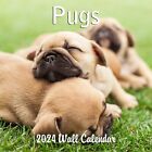 2024 Pugs Hangable Monthly Wall Calendar Dogs