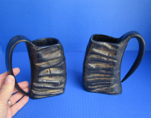 2 pc 5 inch Semi Polished Water Buffalo Horn Beer Mug with Natural Ridges #47990