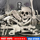 35Pcs Skeleton Bones Skull Scary Props Halloween Graveyard Haunted Houses Decor