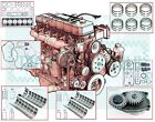 1989 - 1998 12v Dodge Cummins 5.9 Diesel engine Rering Rebuild kit + oil pump
