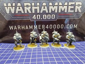 Warhammer 40k Carcharodons Infiltrators x5 Pro Painted Space Sharks Marines