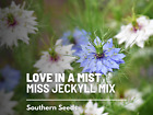 Love in a Mist - 200 Mixed Seeds - Culinary & Medicinal Flower Seeds - Non GMO