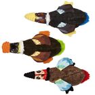 Crinkle Dog Toy Collection