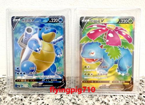 Pokémon TCG Chinese Sword & Shield SR Blastoise Venusaur V Card Combo