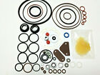 Roosa Master / Stanadyne Seal Kit 33814 / 24373 for DB2 Diesel Injection Pumps