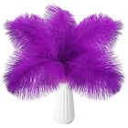 24pcs Ostrich Feathers Natural Bulk 10-12Inch 25cm-30cm 10-12Inch-24pcs Purple