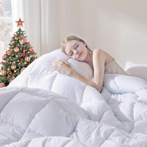 New Listing Comforters Size, Duvet Insert All Season Duvet, Lightweight Quilt, Queen White