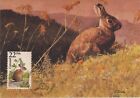 Bunny Cottontail Rabbit Fauna Wildlife Canada USA Iowa Mint Maxi Card FDC 1987