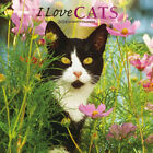 Browntrout I Love Cats 2024 12 x 12 Wall Calendar w