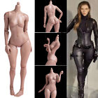 Worldbox 1/6 Scale Female Body Sexy Big Hip Action Figure 12