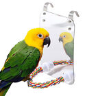 New ListingHigh-quality Acrylic Parrot Mirror Suitable for Cockatoos Conures Colorful