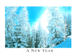 Happy New Year Year's Day Wishes Nature Forest Woods Hallmark Greeting Card