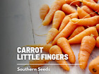 Carrot, Little Finger - 250 Seeds - Heirloom - GMO Free (Daucus carota)
