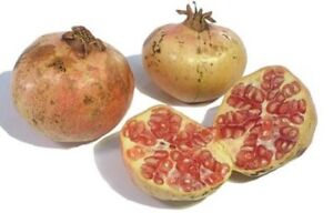 Pomegranate Babylonian White Rare Find 10 seeds