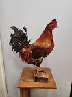 J98 Large Brown Rooster Chicken Bird Mount Taxidermy