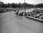 1941 Sulky Race, Rutland Fair, Rutland, VT Old Photo 8.5