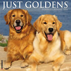 Just Goldens 2024 12