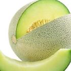 Honeydew Green Melon Seeds  | NON-GMO | Heirloom | Fresh Garden Seeds