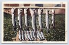 c1944 Greetings From Spirit Lake Orleans Iowa Vintage Catch Of Fish Postcard