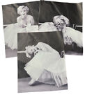 Marilyn Monroe With Tulle Dress 8x10 Picture Set Of 3 Canvas Posters