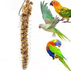 Parrot Bird Parakeet Cockatiel Budgie SS Forager Feeder Pack Snacks Train Toys