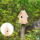 Bird House Kits for Children to Build Wooden Nest Tiny Decor Decorate
