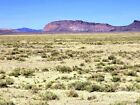 10 ACRE RANCH & BUILDING LOT! E Z TERMS SALE $399 DOWN PAY- NO QUALIFYING! LOOK!