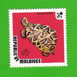 REPUBLIC OF MALDIVES TURTLE STAMP TESTUDO ELAGANS 3L REPTILE NEW UNUSED MNH