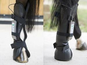 PEMF HORSE EQUINE REAR LEG WRAP PULSED ELECTROMAGNETIC FIELD INJURY HEALTH TREAT