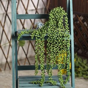 2x Artificial Hanging Plant Fake Vine Ivy Succulents String of Pearls Home Decor