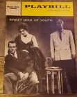 1959  Sweet Bird of Youth Playbill- Paul Newman / Geraldine Page/Sidney Blackmer
