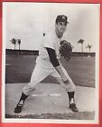 1968   YANKEES   TEAM ISSUE   GLOSSY   8 X 10    DOOLEY WOMACK