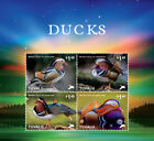 Tuvalu - Ducks Stamp - Sheet of 4 MNH