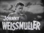 Johnny Weissmuller Tarzan & Jungle Jim 28 Movie Collection On USB