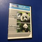 New ListingDiscovery Channel - Best of Collection Volume 4 A Panda is Born & Baby 1st Year