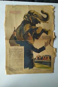 Two-page cut out from American Weekly Houdini 1948 -- See video in listing