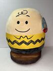 NWT Charlie Brown 11” Squishmallow