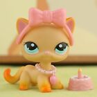 LPS Pets lps Shorthair Cat 339 with lps Accessories Action Figure for Kids Rare