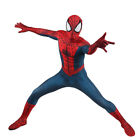 Edge of Time Spiderman Jumpsuit Spider-man Cosplay Costume Adult Kids Halloween