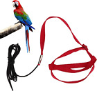 Bird Harness, Bird Leash Parrot Harness Parrot Leash Aviator Bird Harness Pet L