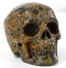 Leopard Skin Stone Quartz Carved Realistic Skull Natural Crystal Statue Healing