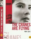 The Cranes Are Flying - Letyat zhuravli (1957, Mikhail Kalatozov) DVD NEW
