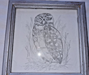 Original Wildlife Burrowing Owl Pencil Drawing Art Framed 6